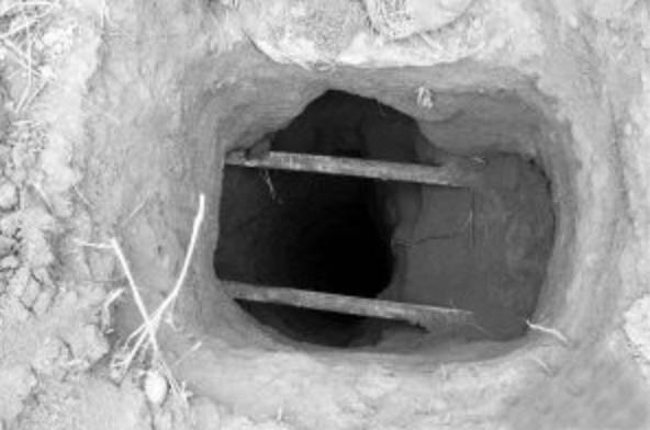  凤翔秦公六号陵大墓曾经在2011年被盗，盗洞直径40多厘米，深达20米左右，直达“黄肠题凑”