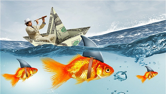 图片来源：视觉中国