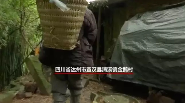 四川省达州市宣汉县清溪镇金鹅村