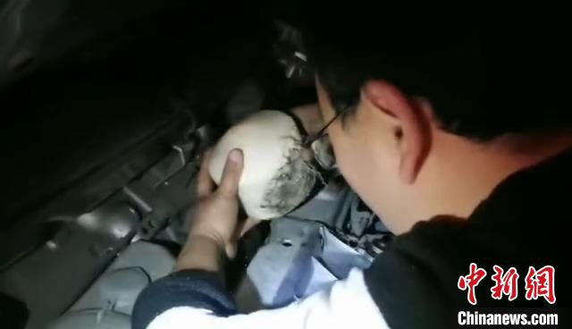 旷某砸开椰子把椰汁灌入货车水箱 高速交警嘉兴支队三大队 摄