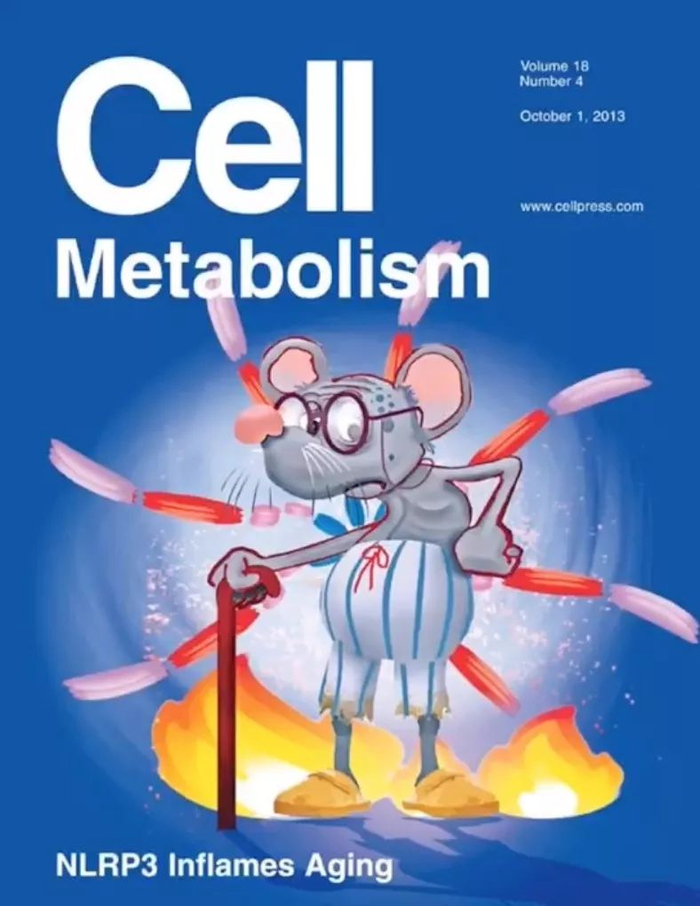 10分钟教你画Cell子刊封面（附视频教学）