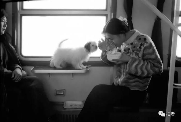 ▲1995年，齐齐哈尔-北京。