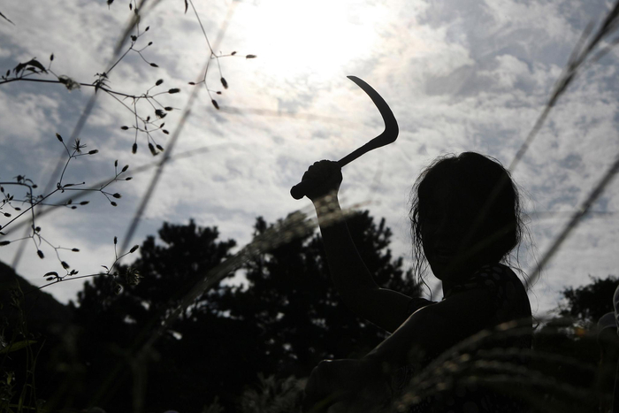 韩国电影《金福南杀人事件始末》剧照
