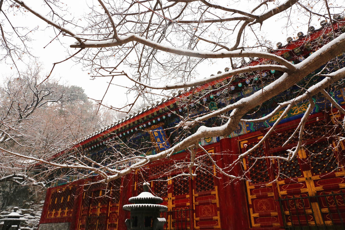 香山公园雪中景色。香山公园供图