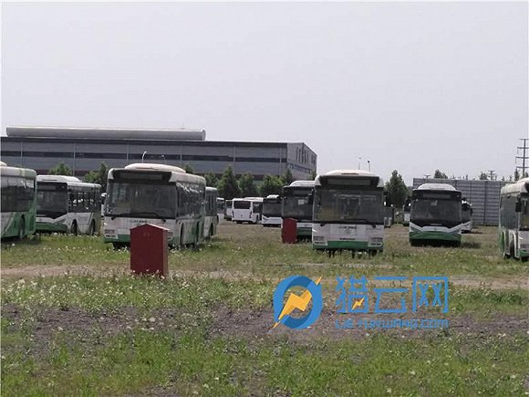 广通汽车厂区右侧场地库存车辆，上面落满灰尘