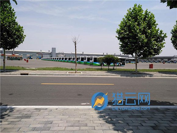 广通汽车厂区后方库存车辆