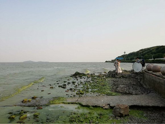 2018年5月初，一对新人在太湖边拍摄婚纱照，变绿的湖面让摄影师措手不及。摄影；俞琴