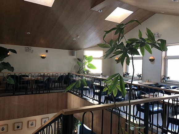  SUSU （图片来源：马越）