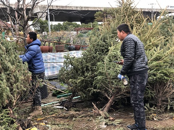  陈光达（右）和他的朋友。 图片来源：张钦