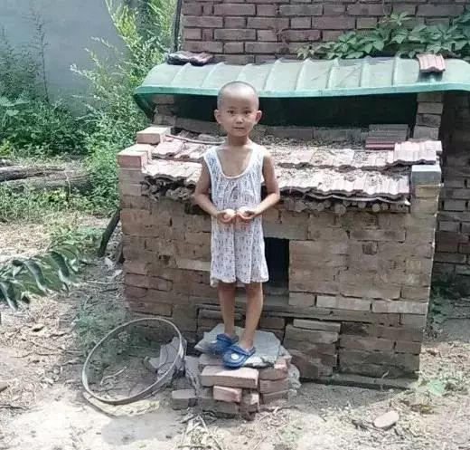  王心仪的小弟弟 图自公众号“河青家长会”