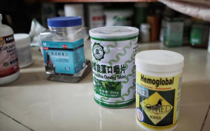 金茂的床底下，塞满了鸽子的保健品。摄影/新京报记者 王嘉宁