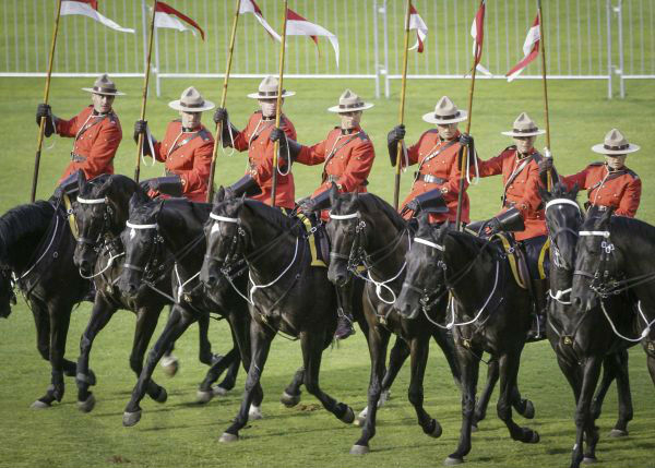  2017年8月18日，在加拿大温哥华，皇家骑警进行音乐马术表演。（新华社发）