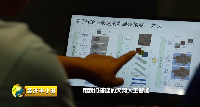 HER-2检测项目