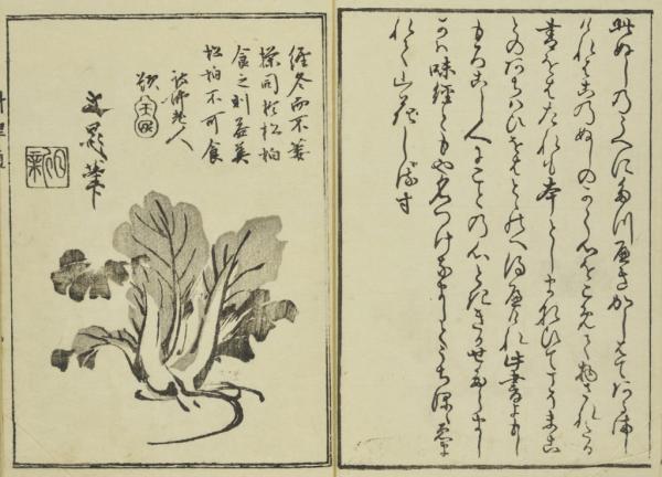 浮世绘里的江户“穿越”：两碗拉面买一张葛饰北斋……