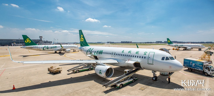 春秋航空飞机。资料图