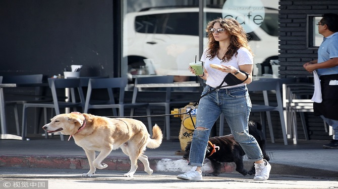 ▲图片来自视觉中国