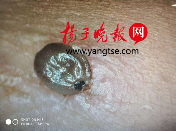 照片由冯雨苗提供