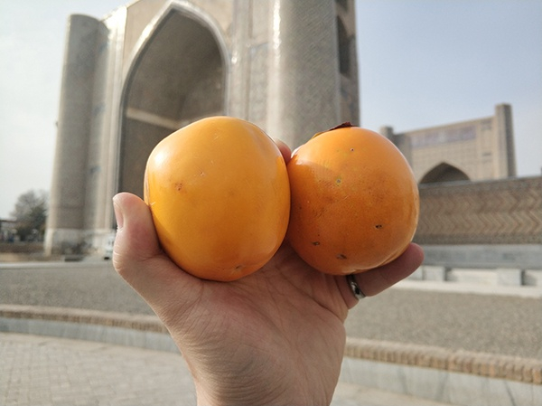 撒马尔罕的金桃