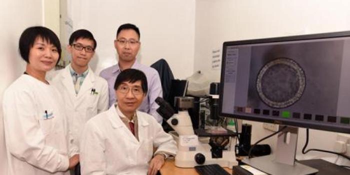 香港大学造肺 用来预测新流感病毒监控传播