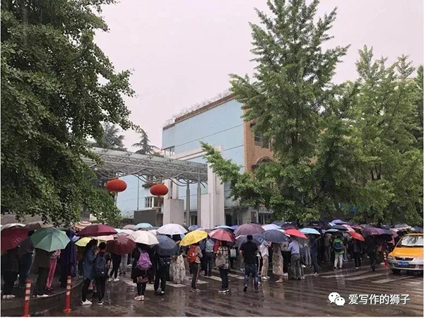 本文图均为 爱写作的狮子微信公众号 图