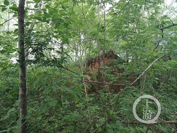  6月9日，河南罗山县汪延勋的房子早已倒塌。