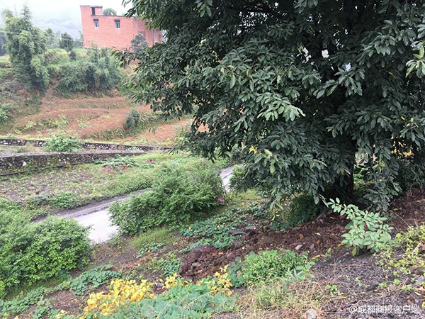 死者余章芬的背兜还在原地 摄影 罗敏
