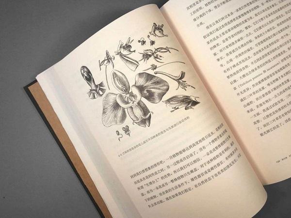 来历世间生物有多少种_世间生物来历_生物起源于