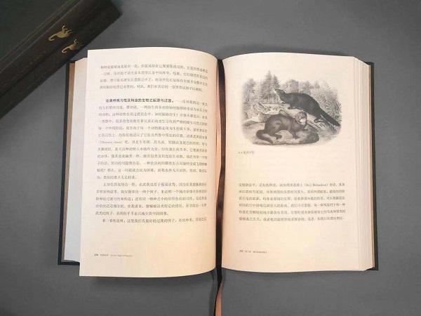 来历世间生物有多少种_世间生物来历_生物起源于