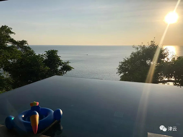 死者死于这个泳池中&nbsp;&nbsp;本文图均为 津云微信公众号 图