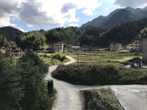 阳春村一景 澎湃新闻记者 沈文迪 摄
