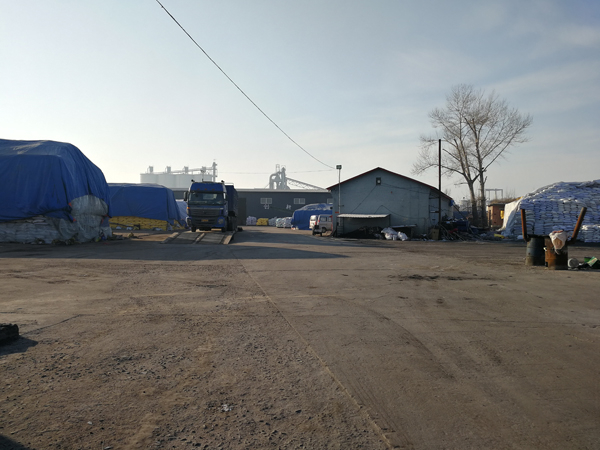 沈阳市双城区的化肥厂是周刚、孙海达等人被强迫劳动的最后一处工地。澎湃新闻记者 朱远祥 图