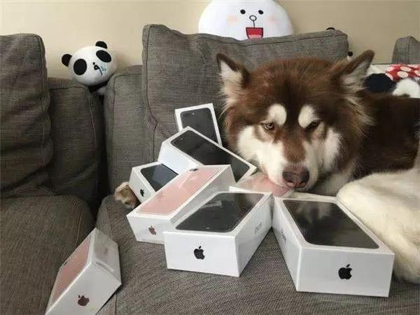  图 via 网络