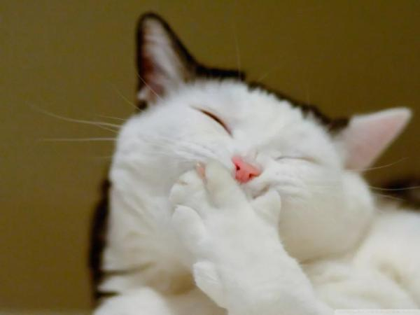 Smile, laugh, giggle英语里的这些“笑”，你分得清吗？