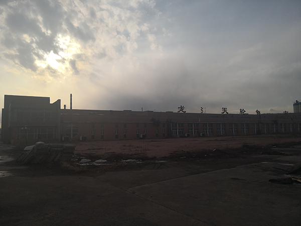 如今破败的黑龙江天轮钢丝厂。澎湃新闻记者 高宇婷 摄