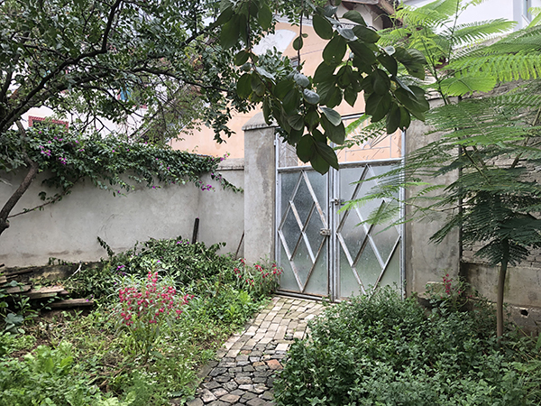  从唐家院子里看他们家的大门。