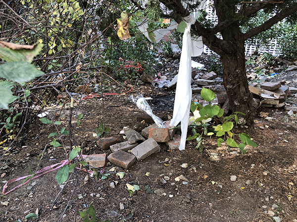 王久章发现小琪遗体的灌木丛