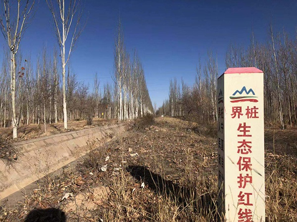 　污染场地邻近生态保护区。澎湃新闻记者 陈雷柱 图