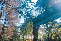 1.5亿"蔡元培故居"挂牌出售 10年前曾以1千万成交