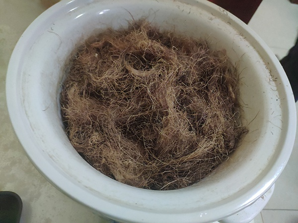 “郑安堂”开具的内服“活肾疗法”药物，上方摆有玉米须样东西