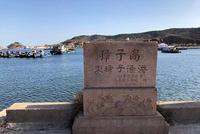 獐子岛鱼港大量死亡贝壳 船员"不敢说"捕捞情况(图)