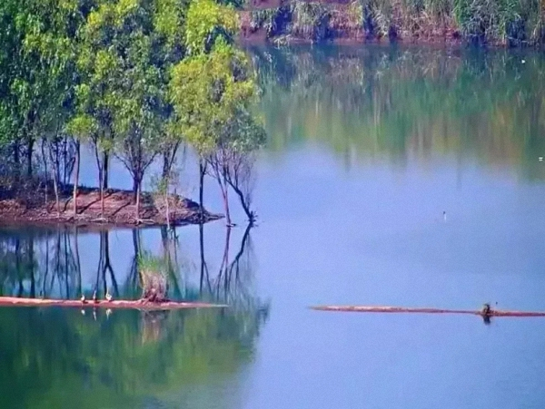 庄台旁的淮河故道