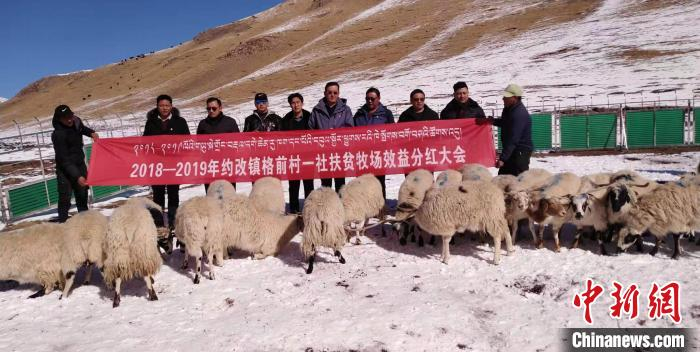     图为青海省曲麻莱县生态畜牧业分红大会。（资料图）曲麻莱县委宣传部 供图