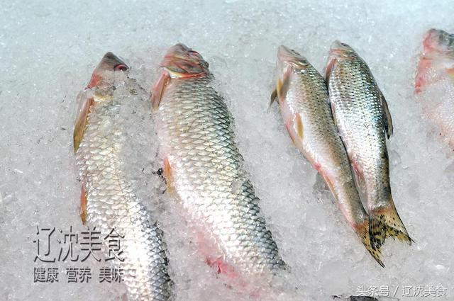 中国四大鲜之首位,开江鱼为鲜中鲜,开春吃鱼指南|兴凯湖|开江|鱼|岛子|白鱼_新浪新闻