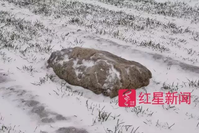 ▲雪后的静山 &nbsp;受访者供图