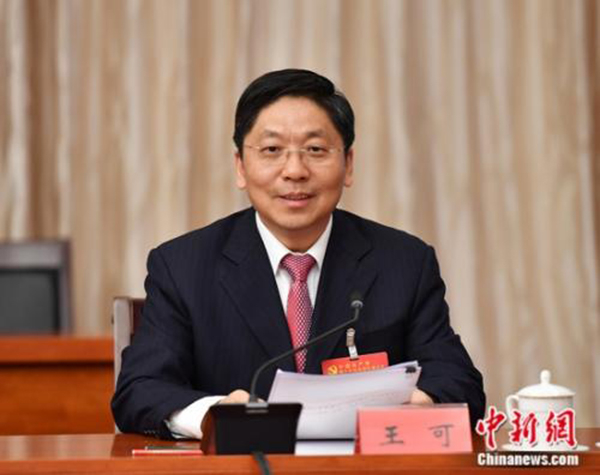 王可 中新网 资料图