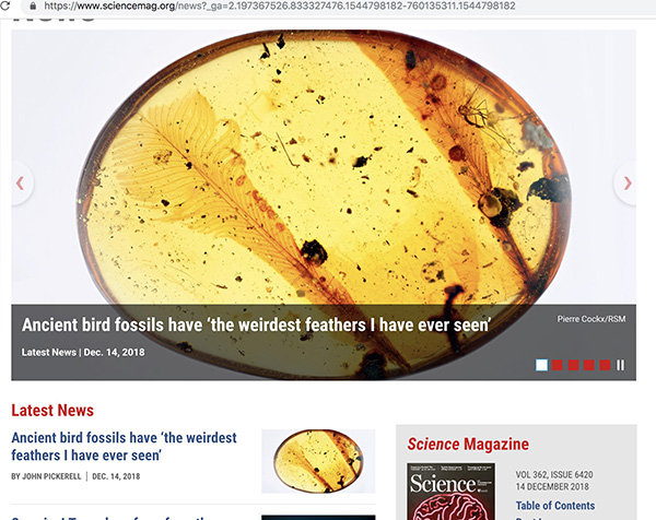 Science网站news头条报道该新发现。