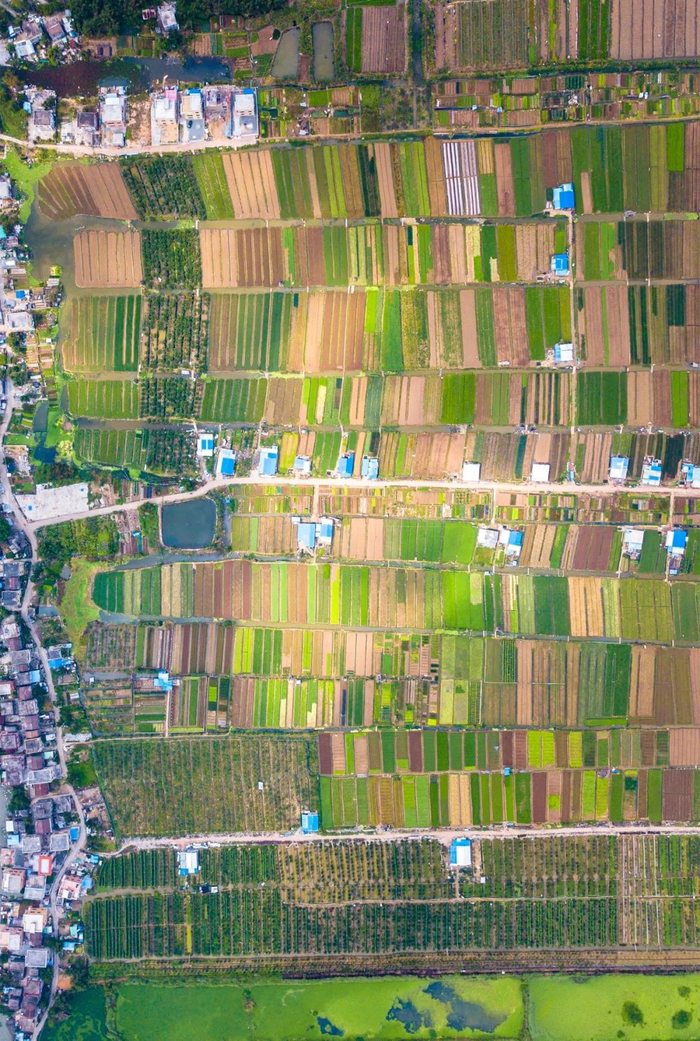 航拍广东省农田，图片源自@VCG