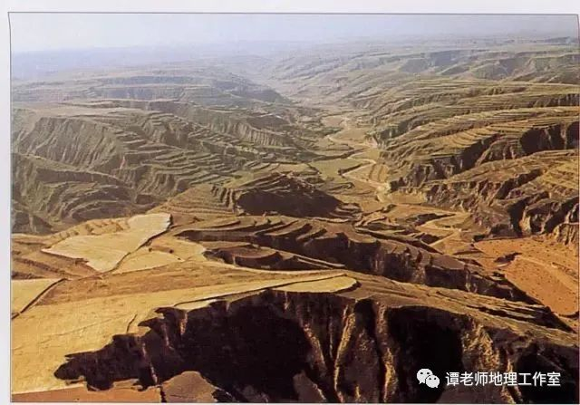 【热门考点】今年高考地理地貌复习建议关注黄土高原及黄土地貌！地理考生都背过了！