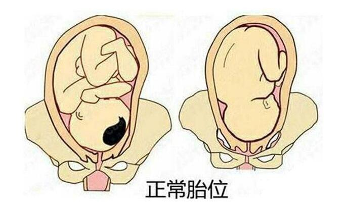 孕晚期,胎动除了检测胎儿发育,还关系胎儿入盆是否正常