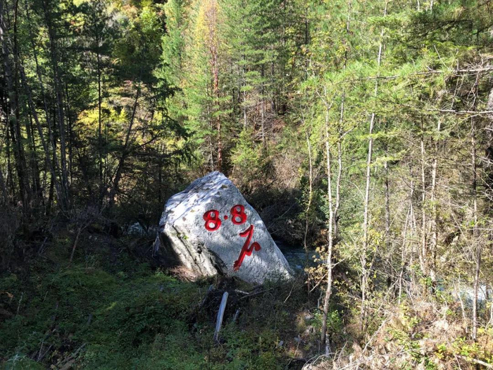 地震后，从山顶滚落的巨石。新京报记者向凯 摄